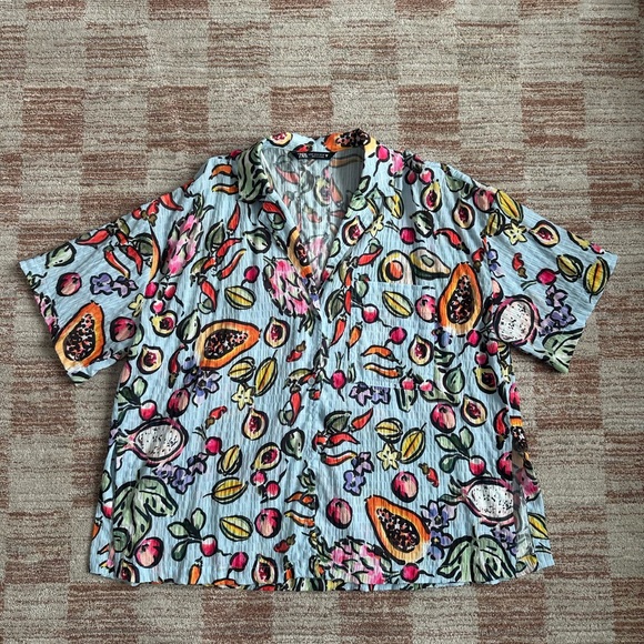 Zara Fruit Top - Picture 1 of 4
